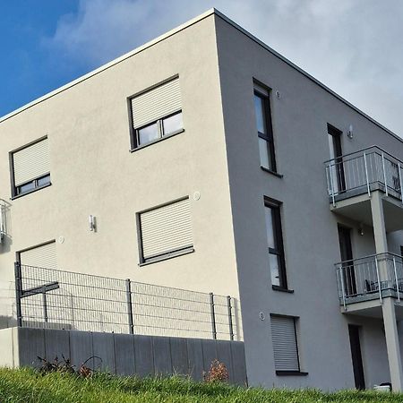 Apartments Seibel Doppel-Zweibettzimmer Mit Bad Reutlingen Exterior foto